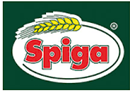 spiga